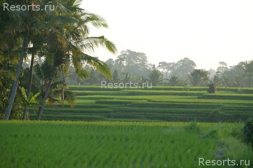 The Chedi Club boutique 23